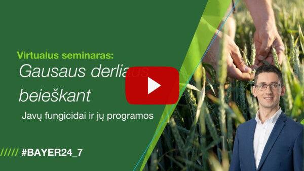 Virtualus seminaras: Gausaus derliaus beieškant – javų fungicidai ir jų programos