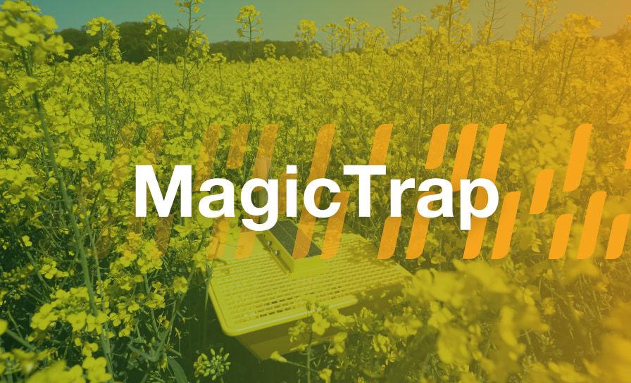 Akcija! Pirk Dekalb rapsų sėklas ir gauk Magic Trap gaudyklę dovanų