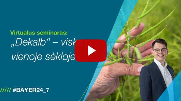 Virtualus seminaras: „Dekalb“ – viskas vienoje sėkloje.